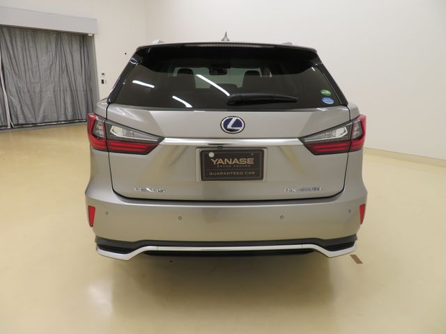 Lexus RX 2019-03 14920-4