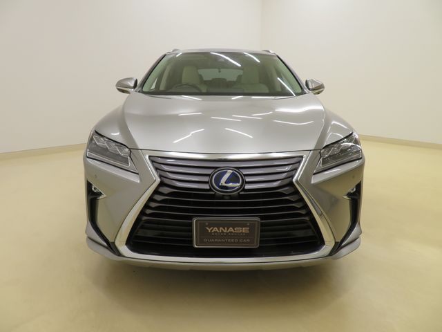 Lexus RX 2019-03 14920-0