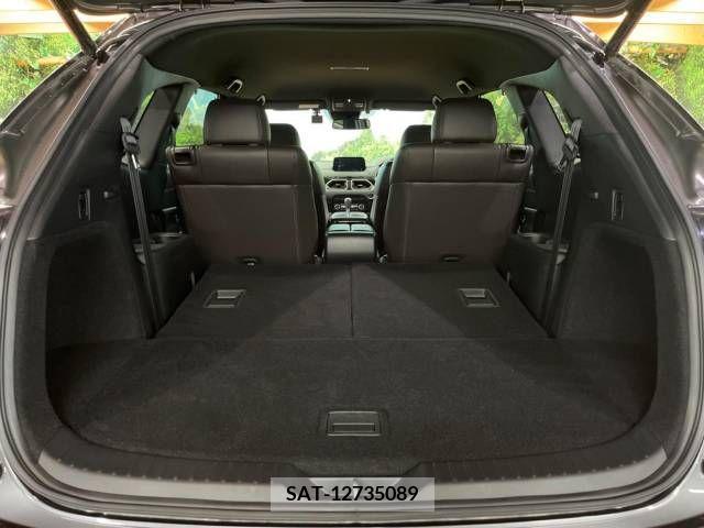 Mazda CX-8 2018-05 266246-13