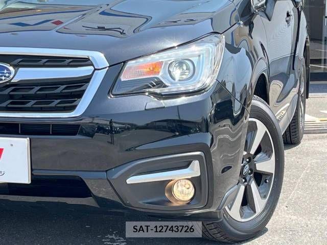 Subaru FORESTER 2018-02 270389-13