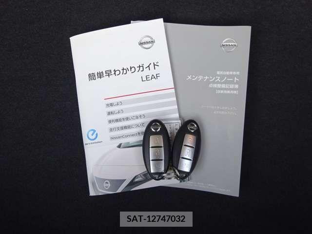 Nissan LEAF 2019-03 275035-19