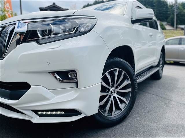 Toyota PRADO 2019-02 5903-1
