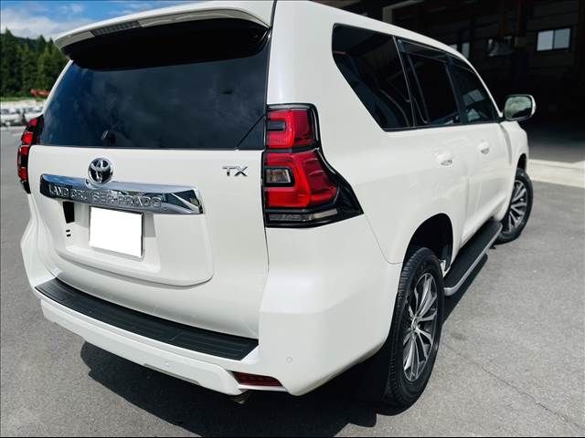 Toyota PRADO 2019-02 5903-2