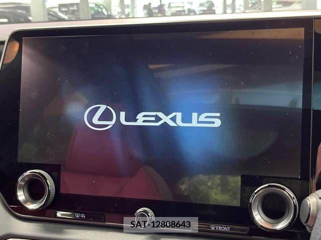 Lexus RX 2023-03 363059-4