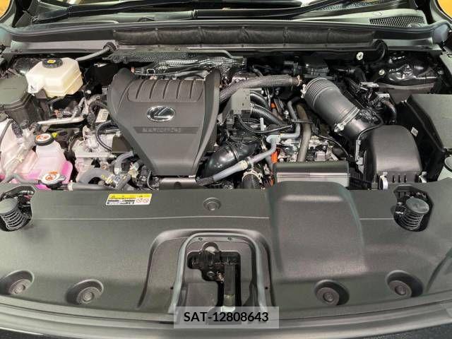 Lexus RX 2023-03 363059-18
