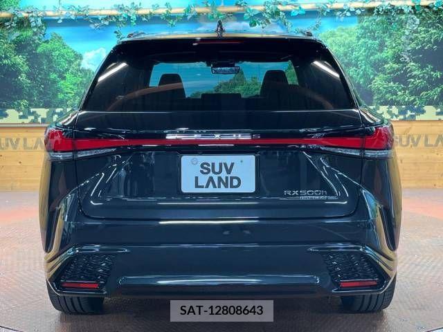 Lexus RX 2023-03 363059-17