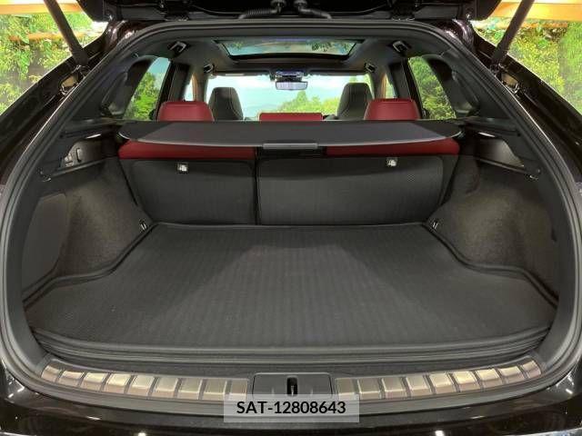 Lexus RX 2023-03 363059-13