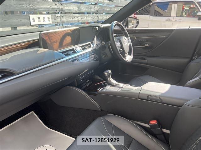 Lexus ES 2019-10 387845-13