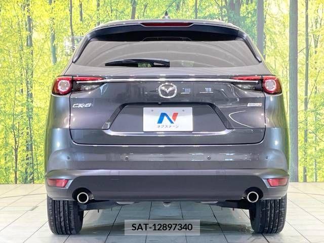 Mazda CX-8 2019-05 379871-16