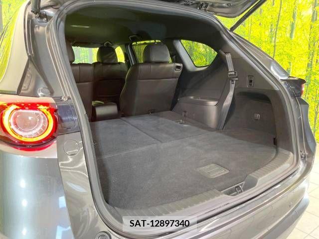 Mazda CX-8 2019-05 379871-11