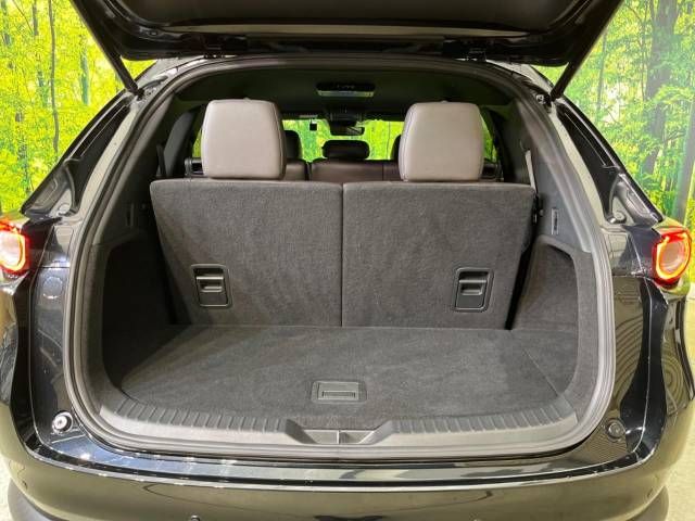 Mazda CX-8 2018-12 12492-11