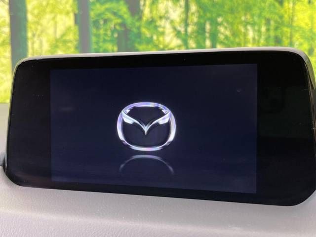 Mazda CX-8 2018-12 12492-3
