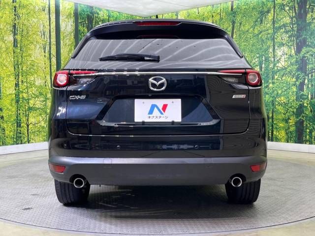 Mazda CX-8 2018-12 12492-16