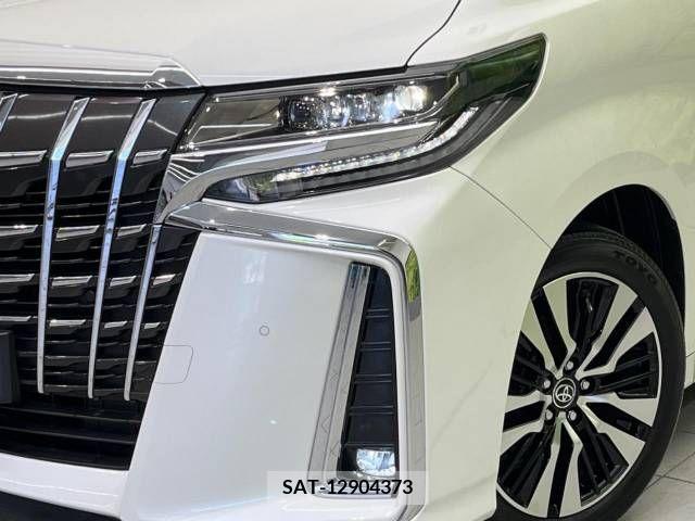 Toyota ALPHARD 2021-06 299509-13