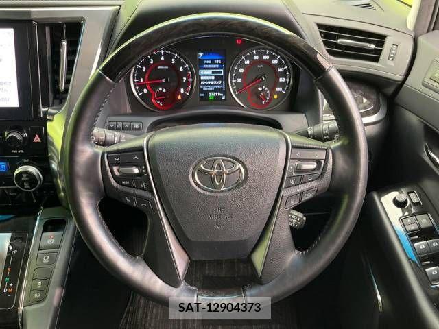 Toyota ALPHARD 2021-06 299509-12