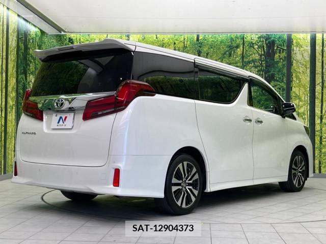 Toyota ALPHARD 2021-06 299509-18