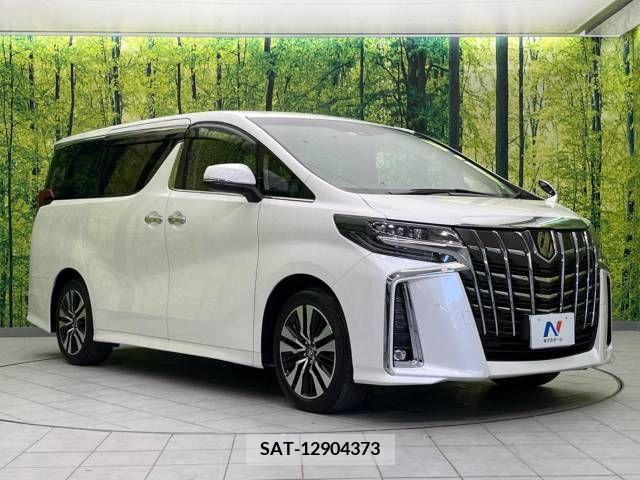 Toyota ALPHARD 2021-06 299509-17