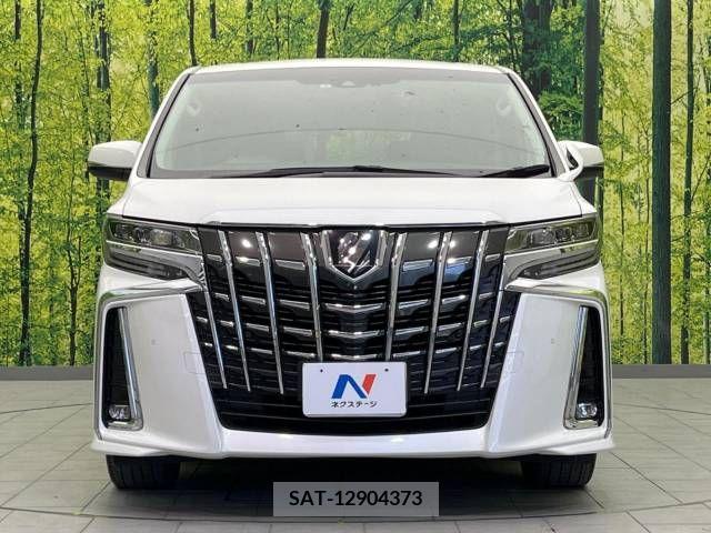 Toyota ALPHARD 2021-06 299509-15