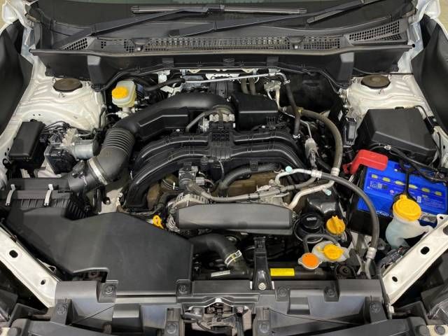 Subaru FORESTER 2019-04 193943-18