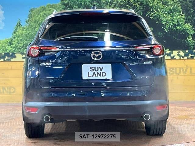 Mazda CX-8 2018-01 210235-17
