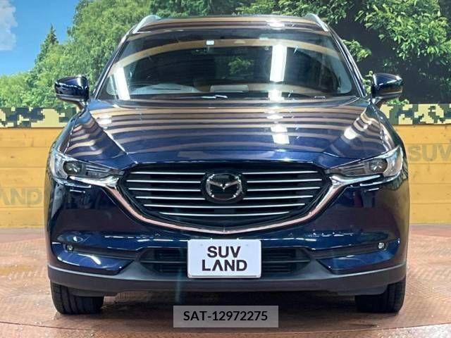 Mazda CX-8 2018-01 210235-16