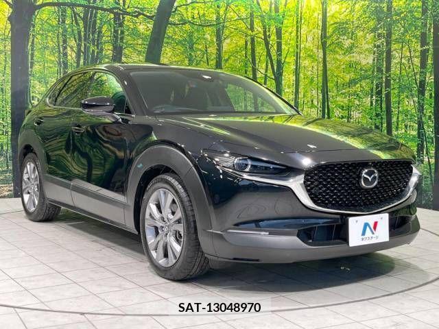 Mazda CX-30 2023-03 204812-16