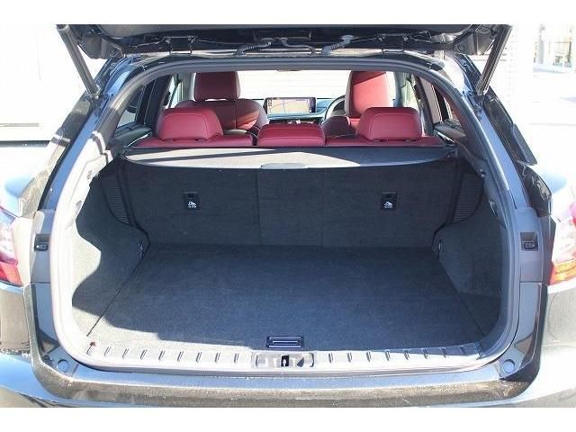 Lexus RX 2016-02 17013-17