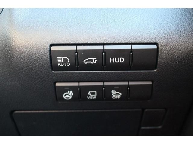 Lexus RX 2016-02 17013-6
