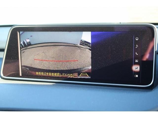 Lexus RX 2016-02 17013-2