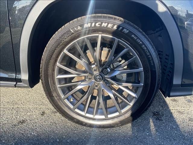 Lexus RX 2019-09 21986-19