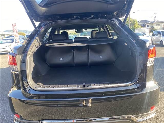 Lexus RX 2019-09 21986-14
