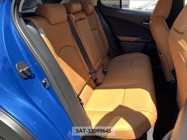 Lexus UX 2021-09 275912-14