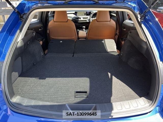 Lexus UX 2021-09 275912-17