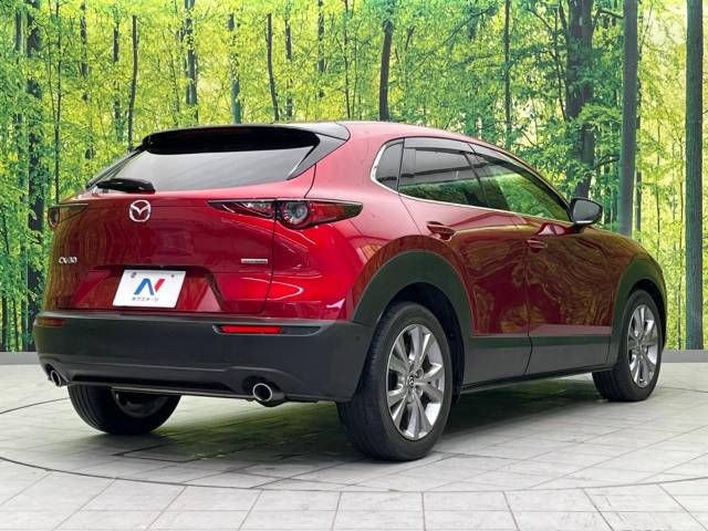 Mazda CX-30 2020-02 193557-17