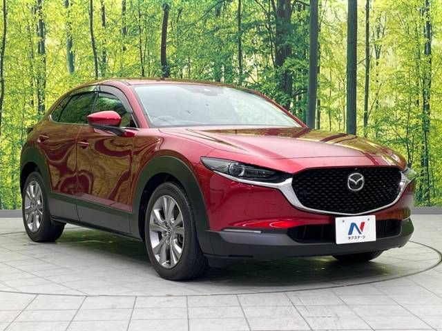 Mazda CX-30 2020-02 193557-16