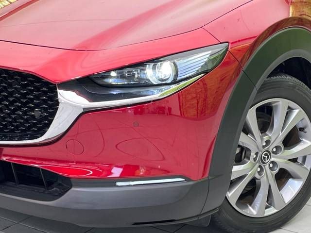 Mazda CX-30 2020-02 193557-12