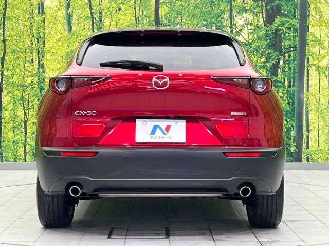 Mazda CX-30 2020-02 193557-15