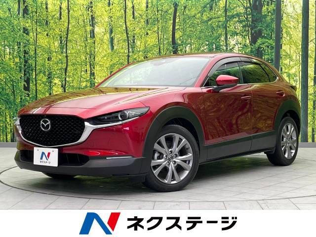 Mazda CX-30 2020-02 193557-0