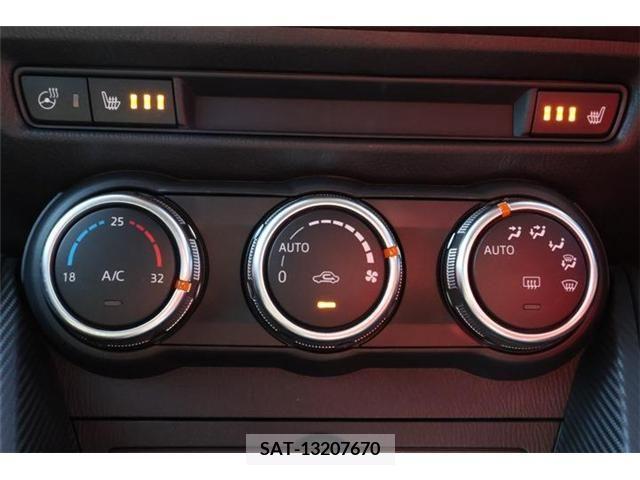 Mazda DEMIO 2019-03 210976-14