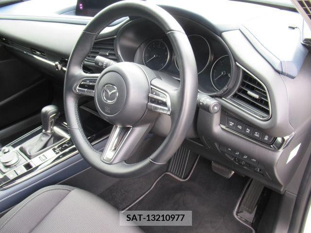 Mazda CX-30 2021-06 213574-8