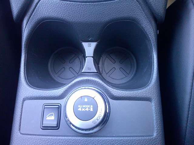 Nissan X-TRAIL 2018-10 17529-11