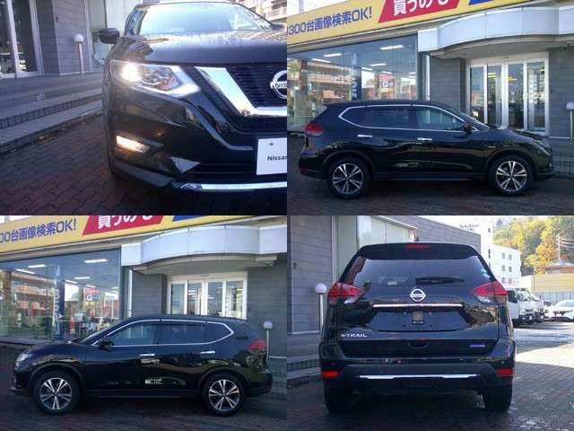 Nissan X-TRAIL 2018-10 17529-14