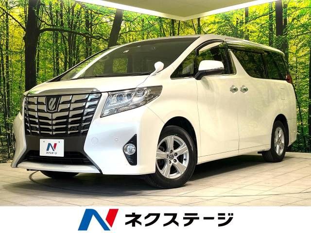 Toyota ALPHARD 2017-04 28922-0