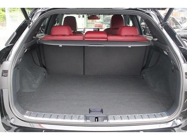 Lexus RX 2016-05 7792-14