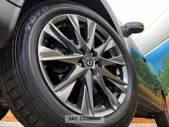 Mazda CX-8 2019-11 247156-14
