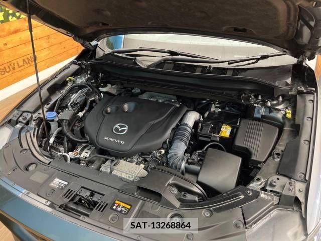 Mazda CX-8 2019-11 247156-18