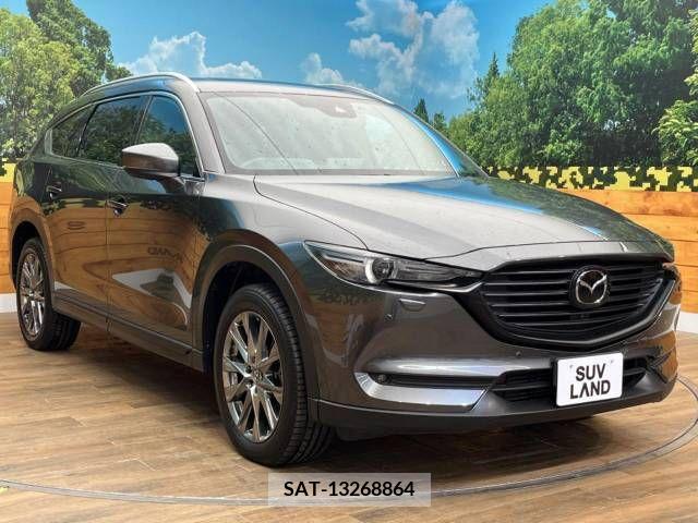 Mazda CX-8 2019-11 247156-17