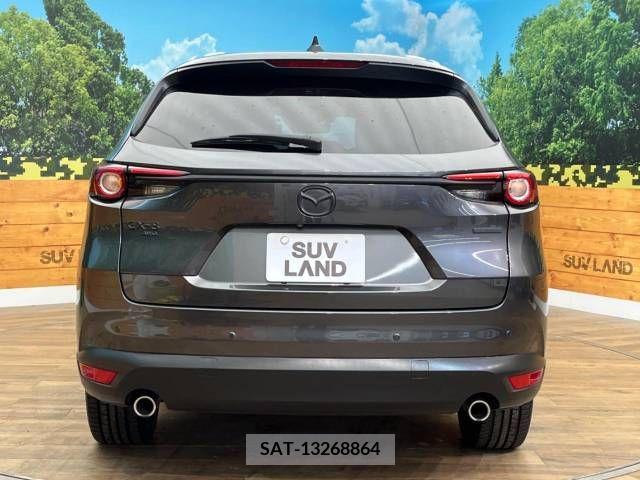 Mazda CX-8 2019-11 247156-16