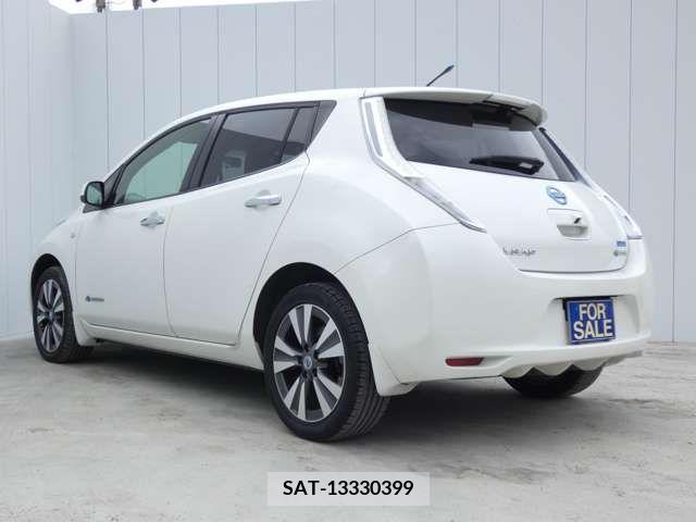 Nissan LEAF 2014-03 386088-5