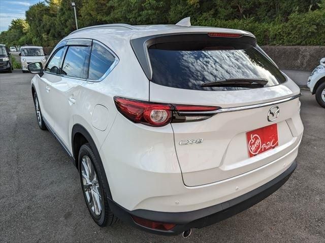Mazda CX-8 2018-08 10418-6